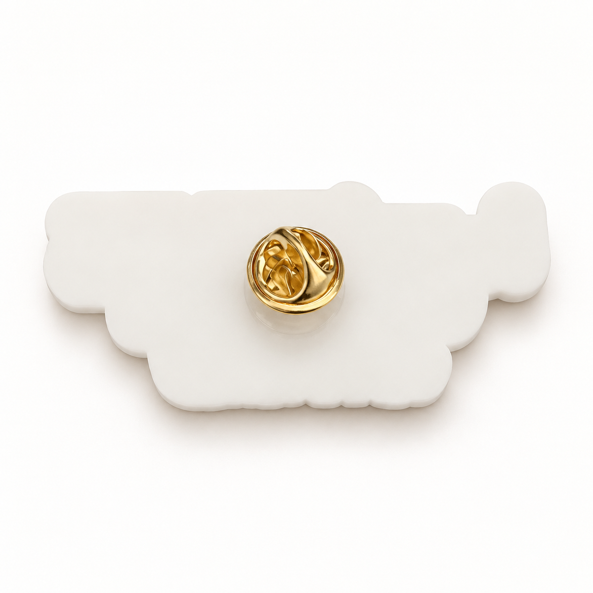 20th anniversary Harford County Wine Festival pin, back studio mockup